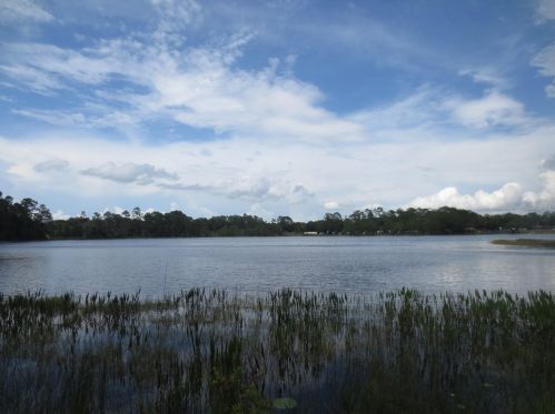 749 130th Terrace Rd, Silver Springs FL  34488-3528 exterior