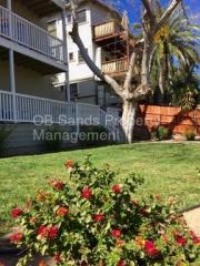 4037 Georgia St, San Diego CA  92103-2609 exterior