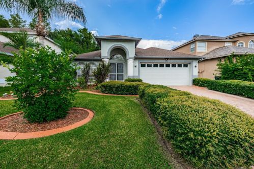 272 Timberland Ct, Oldsmar, FL 34677-4665