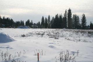 4209 Pineglen Ln, Green Bluff, WA 99021-5055