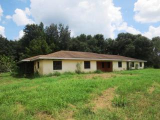 8402 Bacon Ter, Arcadia, FL 34266-3268