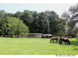 7699 County Road 232, Trenton, FL 32693-4740