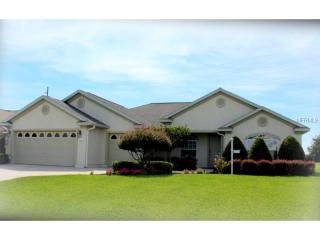 12469 176th Loop, Summerfield, FL 34491-8053