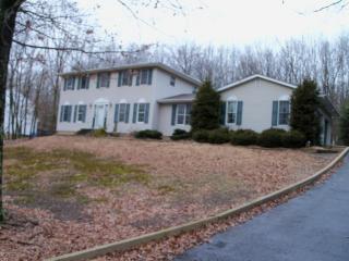 293 Upper Ridge Dr, Effort PA  18330-7921 exterior