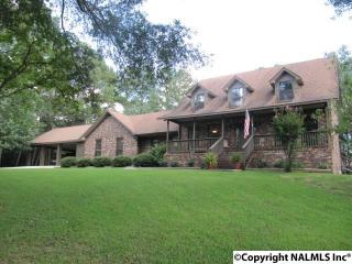 3983 Horton Nixon Chapel Rd, Horton, AL 35980-7202