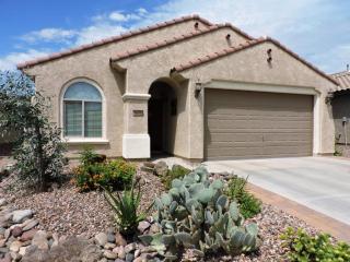 6694 Mockingbird Way, Florence, AZ 85132-6104