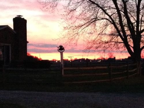 11875 Stiles Rd, Whitehouse, OH 43571-9147