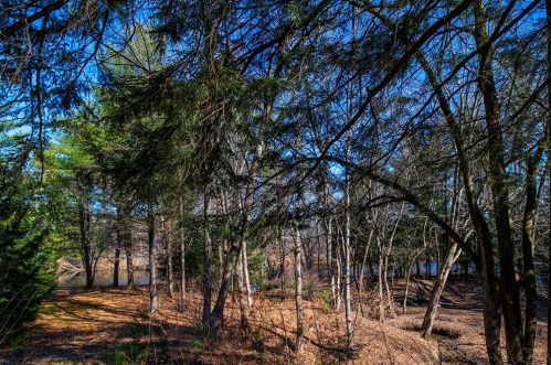 565 Penacook Rd, Hopkinton NH  03229-2916 exterior