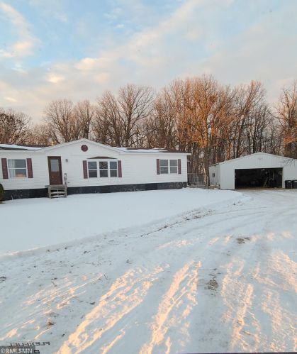 23244 350th St, Badger, MN 56714