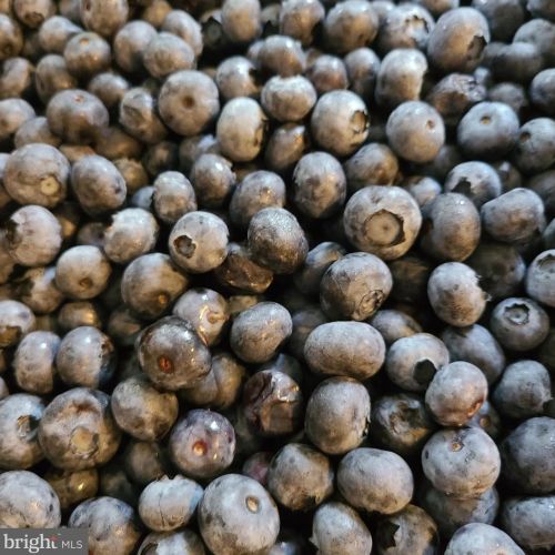 1139 Wilson Ave, Glen Mills PA  19342-9610 exterior