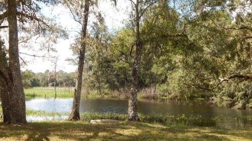 17639 Palamino Lk Dr, Dade City FL 33523-1949 exterior