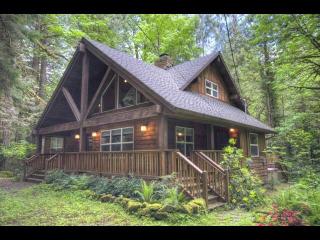 21453 Twin Bridges Ln, Brightwood, OR 97011-9763
