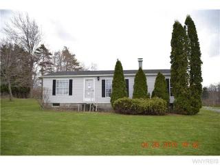 7594 Lewiston Rd, East Oakfield, NY 14125-9733