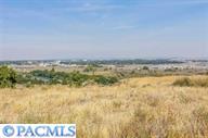 974 Allenwhite Dr, Richland, WA 99352-8620