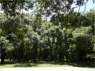 11023 Bonnet Hole Dr, Thonotosassa, FL 33592-2219