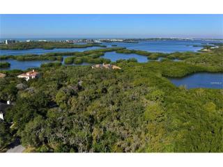 208 Osprey Point Dr, Osprey, FL 34229-9249