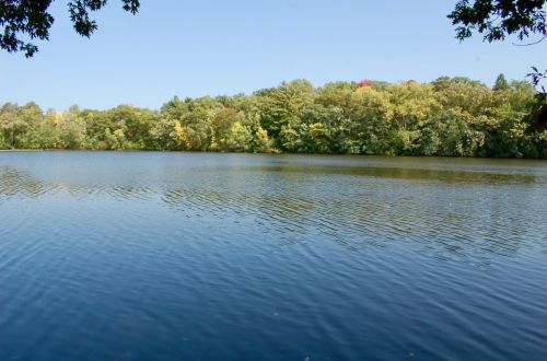 737 Amber Dr, Saint Paul MN 55122-2059 exterior