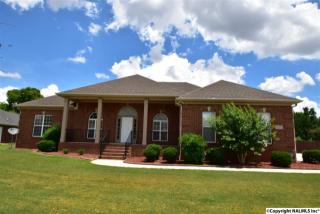 205 Deer Field Ct, Huntsville, AL 35806-1194