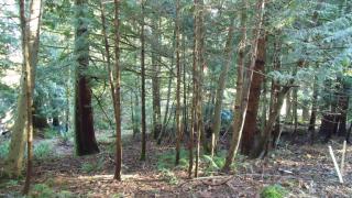 9 Water Tower Ct, Bellingham, WA 98229-7843