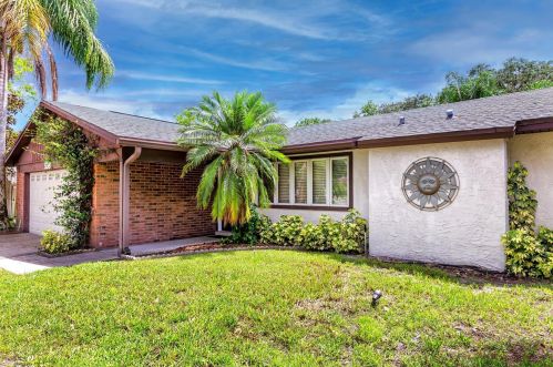 539 Hammock Dr, Palm Harbor, FL 34683-6114