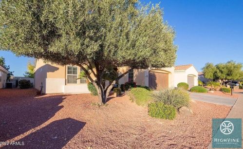 12848 Junipero Dr, Sun City AZ  85375-2338 exterior
