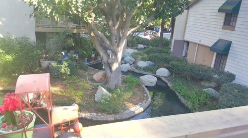 16211 Downey Ave, Paramount CA  90723-5593 exterior