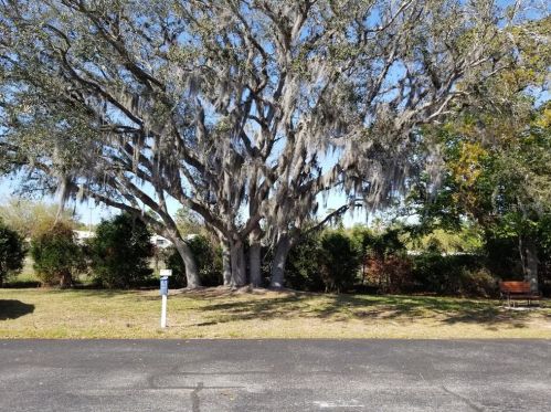 3402 Kauna Point Dr, Tarpon Springs, FL 34691-3220