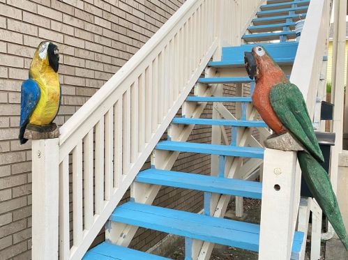 1513 23rd St, Galveston TX 77550-5396 exterior