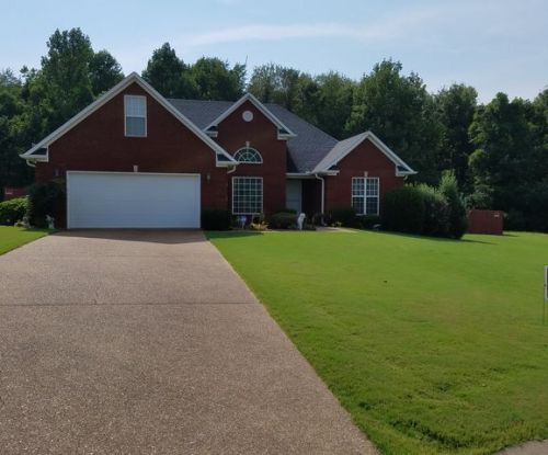 49 Riley Cv, Medina, TN 38355-9812