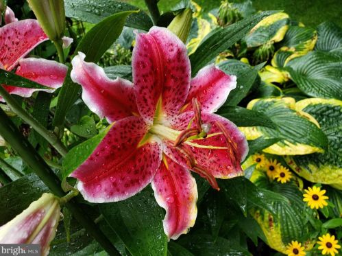 1139 Wilson Ave, Glen Mills PA  19342-9610 exterior