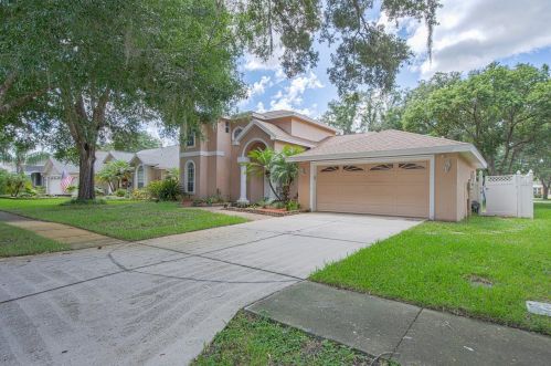 4924 Felecity Way, Palm Harbor, FL 34685-3159