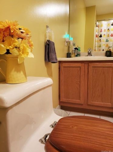 137 Swan Ct, Poughkeepsie NY  12603-6971 exterior