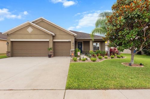 10747 Carloway Hills Dr, Wimauma, FL 33598-6140