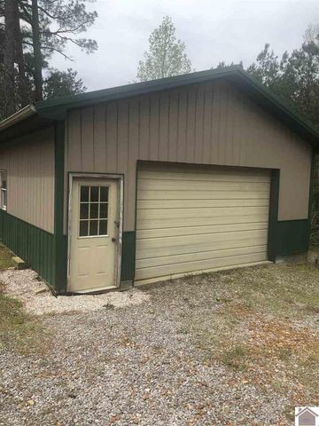 125 Seldon Rd, Aurora, KY 42048