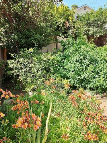 2610 Kansas Ave, South Gate CA 90280-4021 exterior