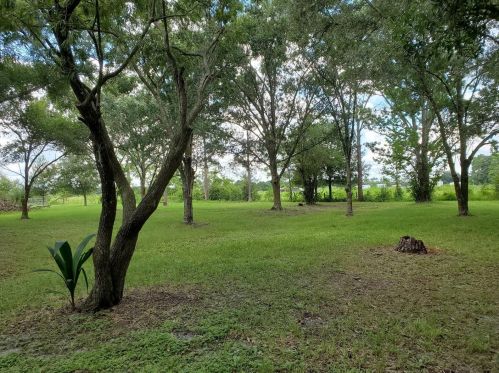 9827 Hoth Rd, Arcadia, FL 34266-7726