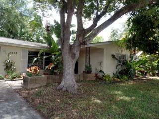 3613 Wiltshire Dr, Tarpon Springs FL  34691-1242 exterior