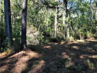 113 Waters Ct, Walterboro SC  29488-7584 exterior