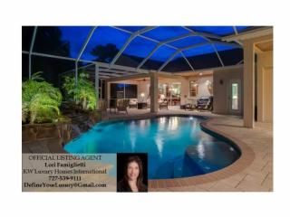 17127 Equestrian Trl, Odessa, FL 33556-1866