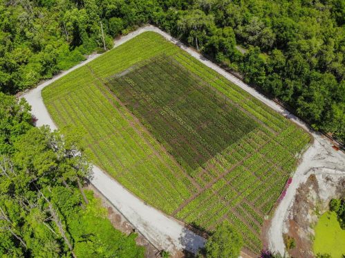 1240 Enterprise Osteen Rd, Deltona FL  32725-9401 exterior