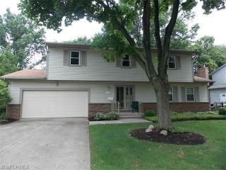 438 Farr Ave, Wadsworth, OH 44281-2260