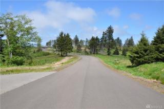 3007 Lighthouse Kprs Rd, Ilwaco, WA 98624-9135