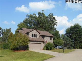 4953 Burgundy Bay Blvd, Medina, OH 44256-8229