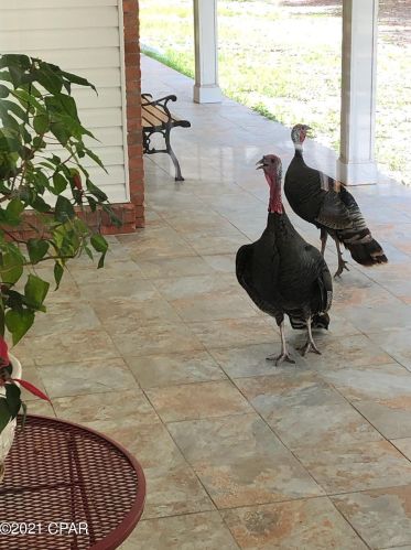 3278 Quail Ridge Dr, Sunny Hills FL  32428-5673 exterior