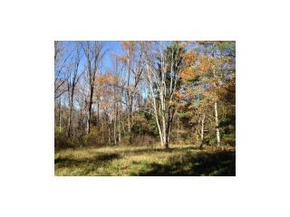 3167 Country Club Dr, Medina, OH 44256-8714