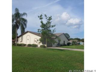 2429 Travelers Palm Dr, Edgewater, FL 32141-4917