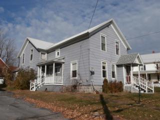 101 Rowley St, Natural Dam, NY 13642-1211