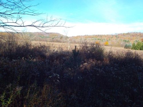 1974 Dug Rd, Millport, PA 16748-4606