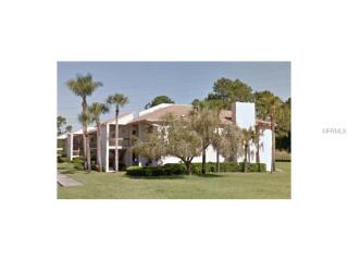 102 Mary Dr, Oldsmar, FL 34677-2221