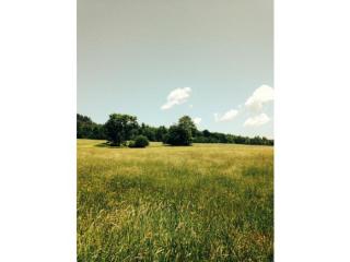 49 Pion Rd, Lowell, VT 05847-9622